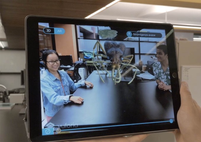 3d model of an ant and 2 people on a tablet screen