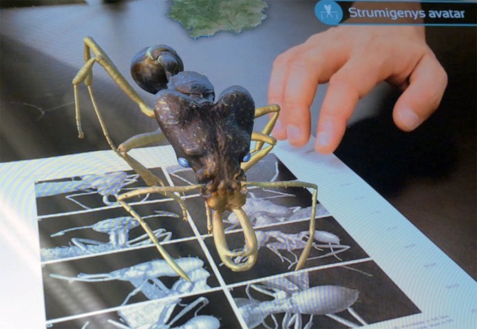 3d model of an ant on a desk