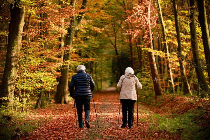elderly walking in the woods