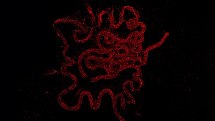Organic and Carbon Nanomaterials Unit