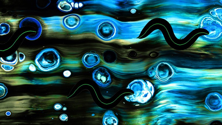 Biological Physics Theory Unit hero