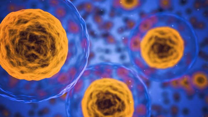 Cell Signal Unit hero image