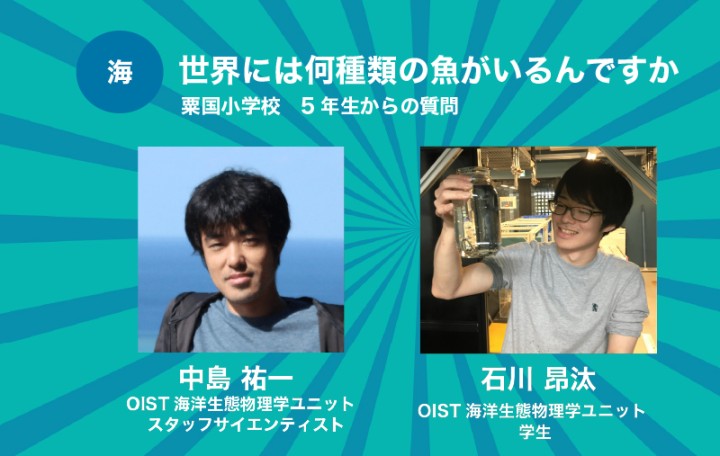 世界には何種類の魚がいるんですか