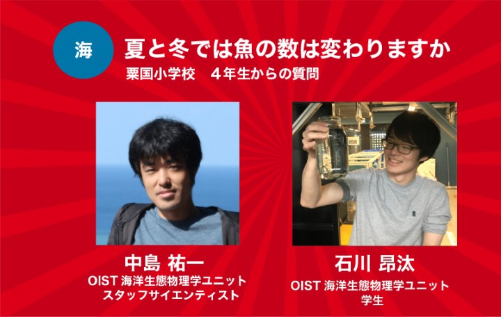 夏と冬では魚の数は変わりますか