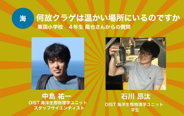 何故クラゲは温かい場所にいるのですか