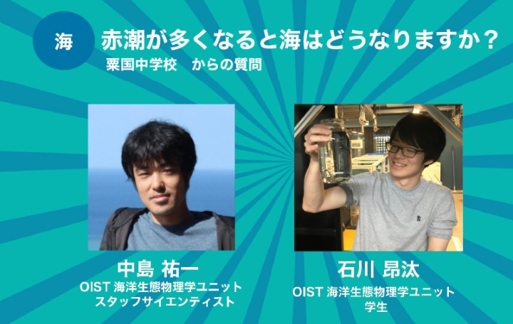 赤潮が多くなると海はどうなりますか？