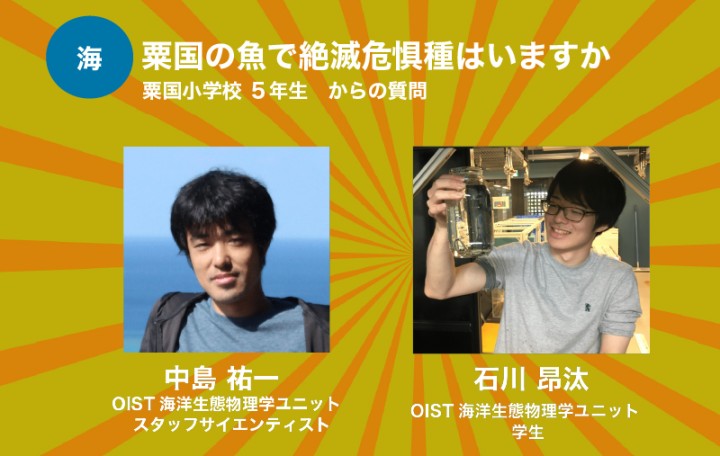 粟国の魚で絶滅危惧種はいますか