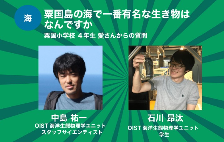 粟国島の海で一番有名な生き物はなんですか