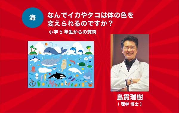 なんでイカやタコは体の色を変えられるのですか？