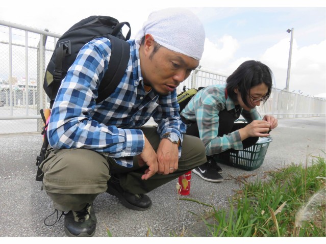 two person sitting in front of grass 