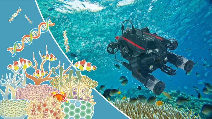 Coral series header image for underwater drones