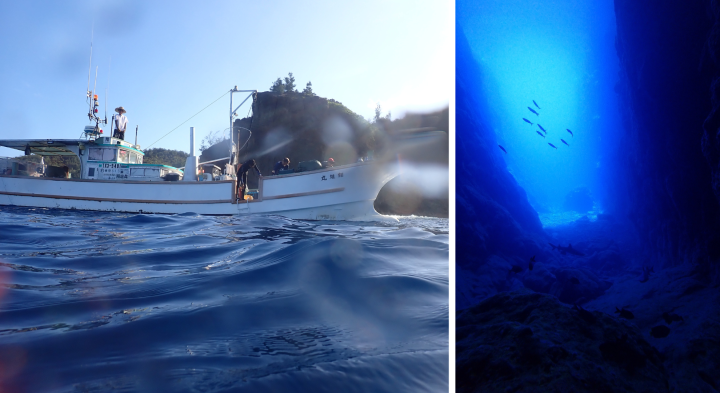 Photos of research vessel and underwater scenery at Ogasawara Islands
