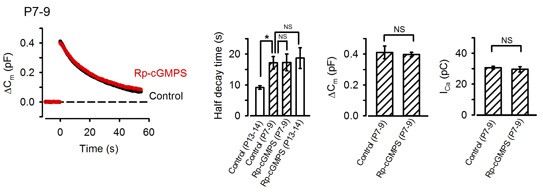 cmsfu FY2011 Annual Report8