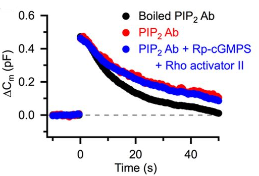 cmsfu FY2013 Annual Report fig4B