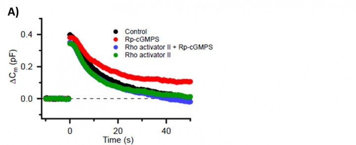 cmsfu FY2012 Annual Report fig4A