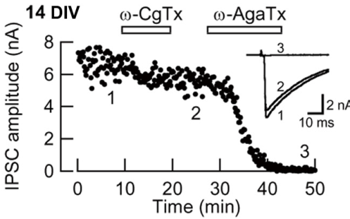 cmsfu FY2013 Annual Report fig7-2