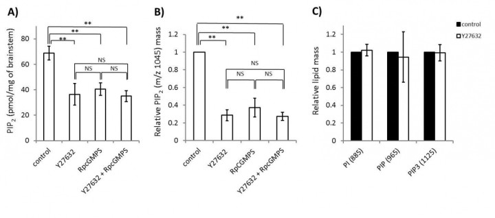 cmsfu FY2013 Annual Report fig1