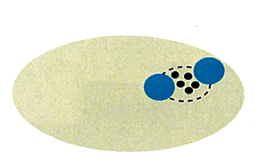 cmsfu FY2014 Annual Report fig15