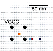 cmsfu FY2014 Annual Report fig16-1