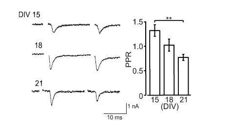 cmsfu FY2015 Annual Report fig5-3