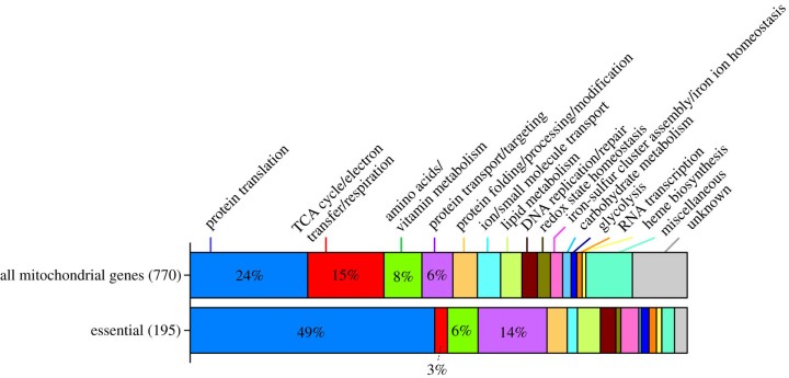 g0 FY2020 Annual Report Figure 4