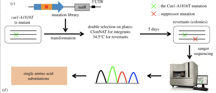 g0 FY2021 Annual Report Figure 4