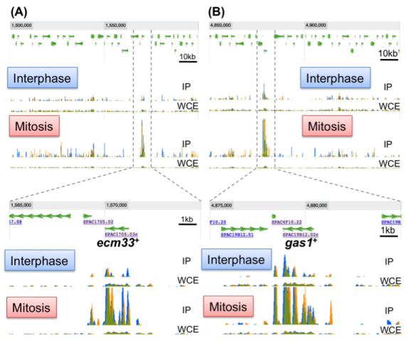g0 FY2012 Annual Report Figure 6