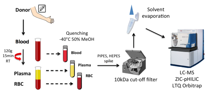 g0 FY2013 Annual Report Figure 7