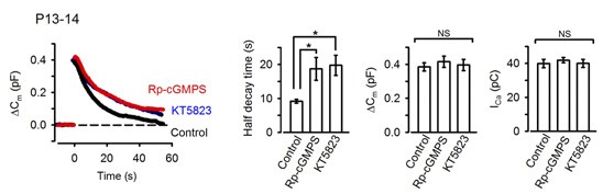 isu FY2011 Annual Report02