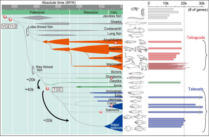 mathbio FY2014 Annual Report 03