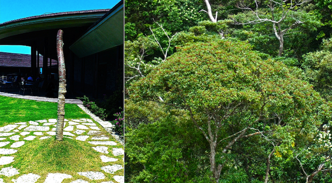 mathbio FY2011 Annual Report 02