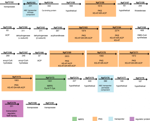 mbsmu FY2011 Annual Report 20