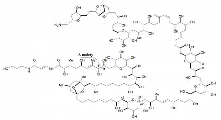 mbsmu FY2011 Annual Report 05