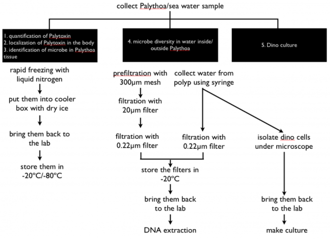 mbsmu FY2011 Annual Report 07