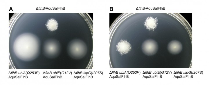 tmt FY2012 Annual Report 04