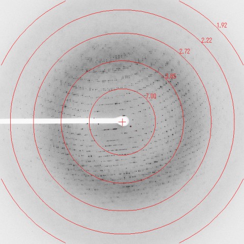 tmt FY2011 Annual Report 05