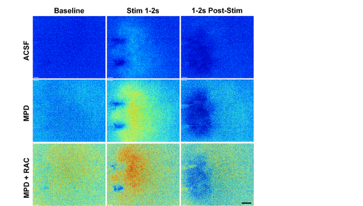 nru FY2020 Annual Report 5