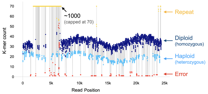 aeeg_The k-mer profile