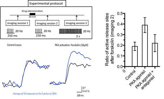 bmbu FY2011 Annual Report 6