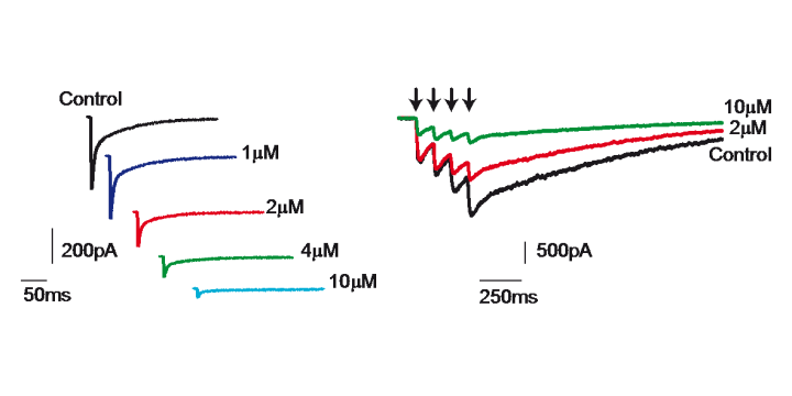 bmbu FY2012 Annual Report 5