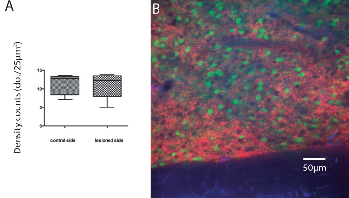 bmbu FY2013 Annual Report 2