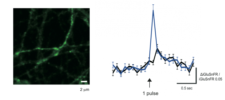 bmbu FY2013 Annual Report 4