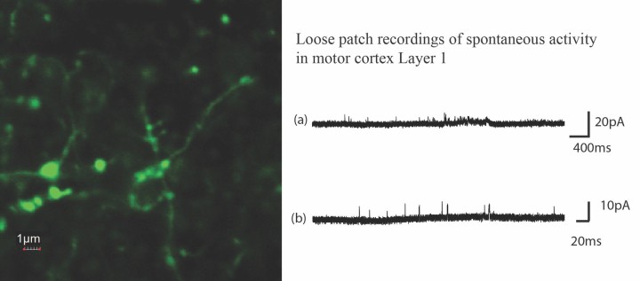bmbu FY2015 Annual Report 5