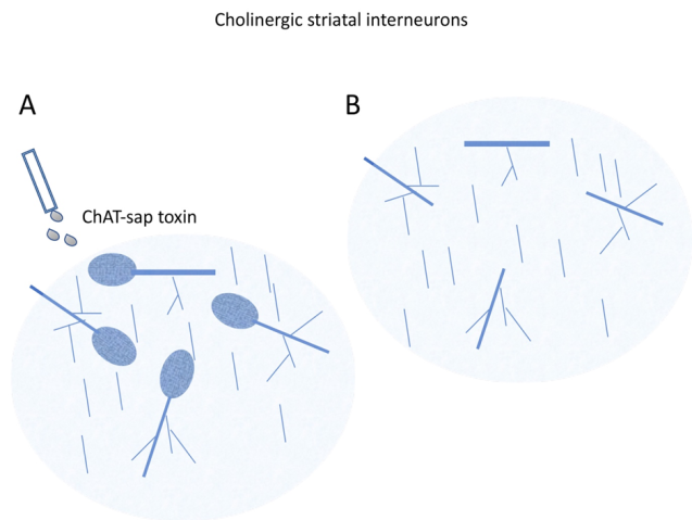 bmbu FY2016 Annual Report 3