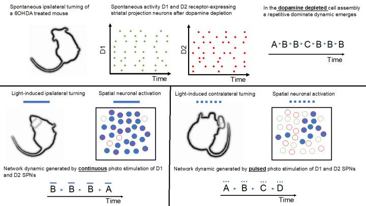 bmbu FY2019 Annual Report 2