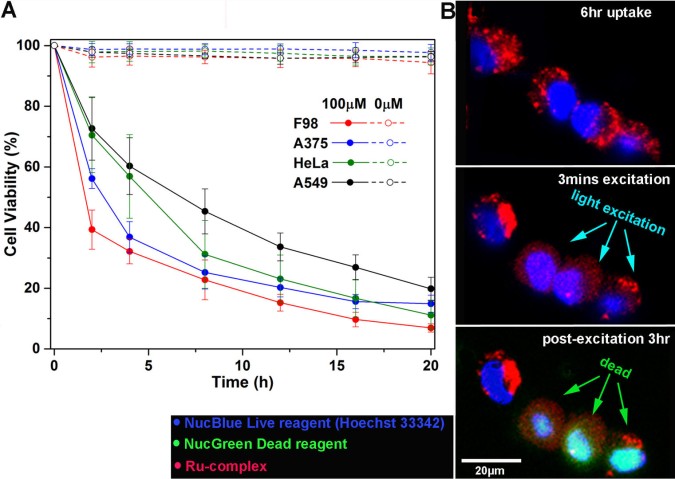 bsmu FY2017 Annual Report 04