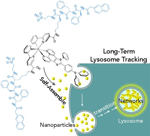 bsmu FY2021 Annual Report 02