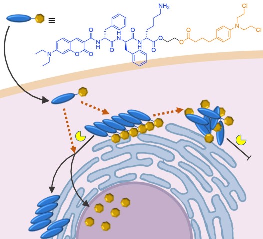 bsmu FY2020 Annual Report 06