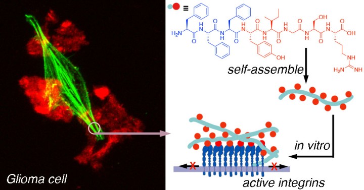 bsmu FY2019 Annual Report 03
