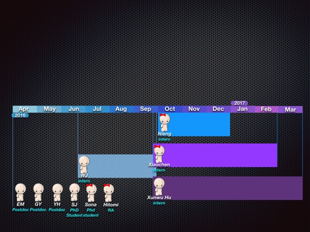 bsmu FY2016 Annual Report 01